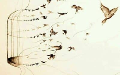 ZWISCHEN ENGE UND WEITE ~~~ Wenn Wut wegweisend wird ~~~ 4.-6.Juni2026 im Südschwarzwald